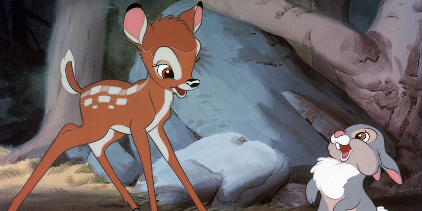 Bambi and Thumper Meet In The Forest