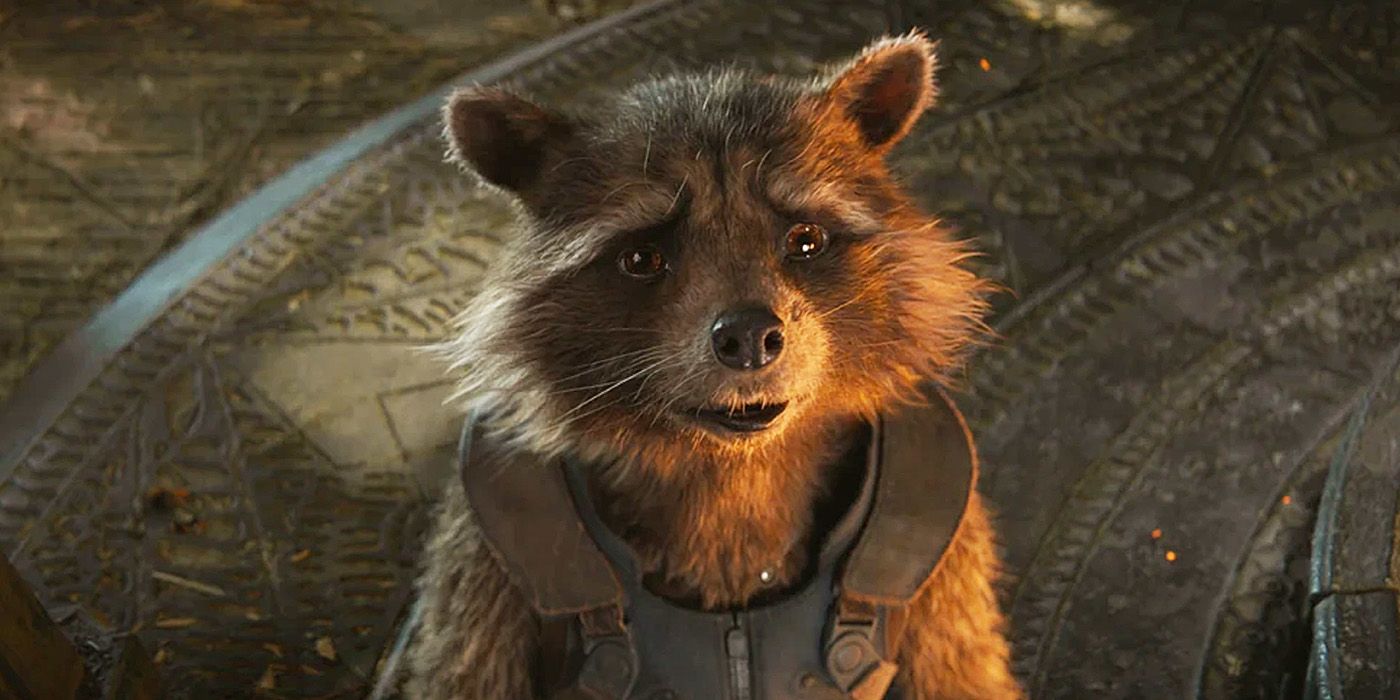 A rocket raccoon looking up sad in Avengers: Endgame.