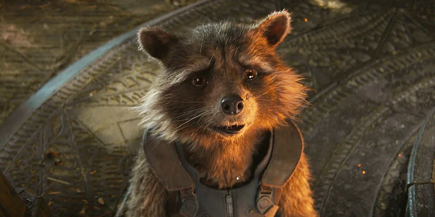 Rocket Raccoon looking up with a sad face in Avengers: Endgame.