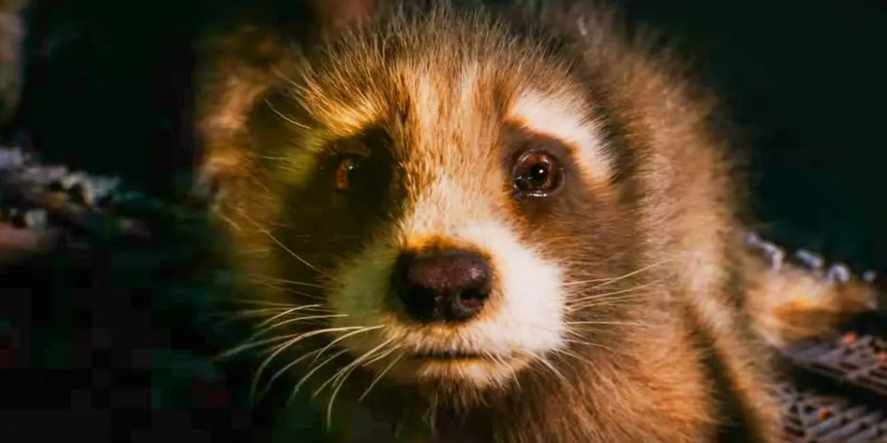 Guardians of the Galaxy 3 Clip Reveals How Rocket Chose His Name ...