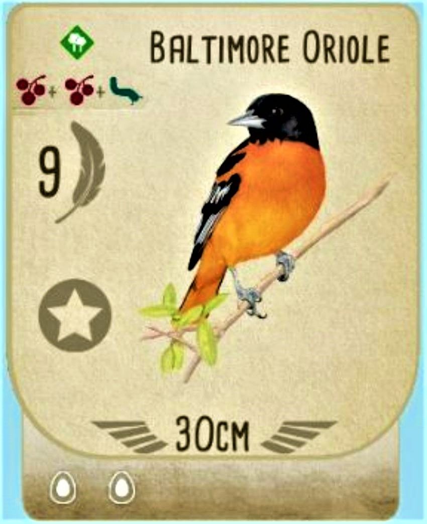 10 Prettiest Cards In Wingspan