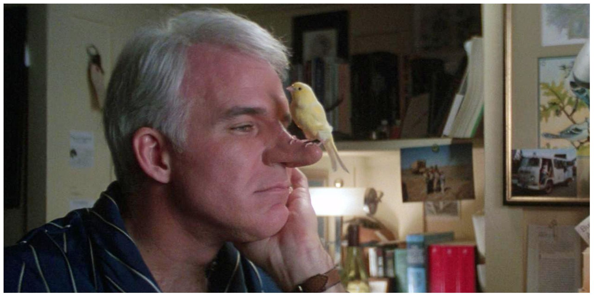 Steve Martin in Roxanne with bird on his nose