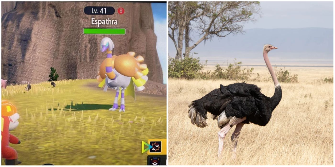 A Wild Espathra In-Game And An Ostrich On The Savannah