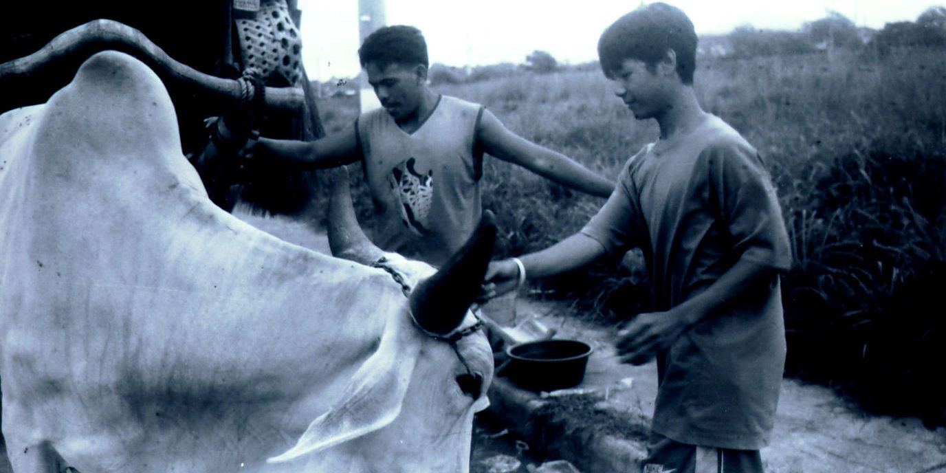 Villagers tend to wild stock in Heremias Book One