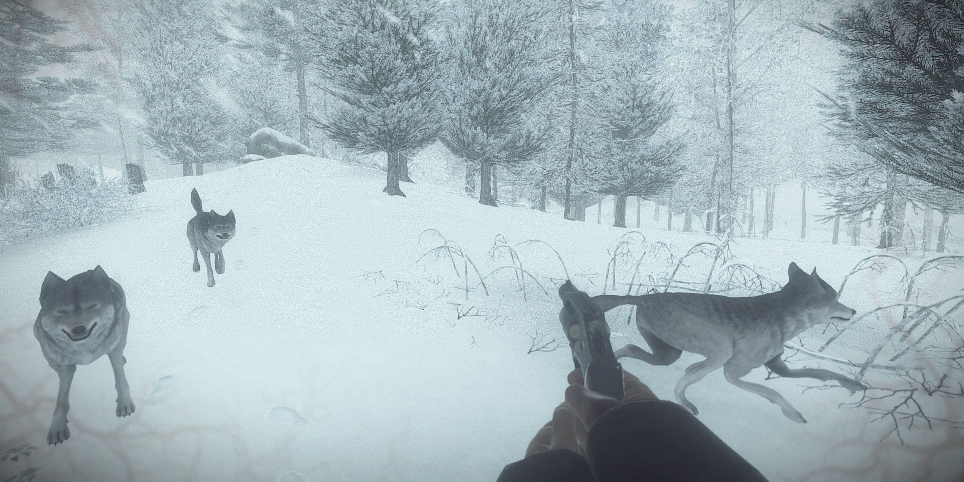 Fighting off wolves as a first-person shooter in Kona