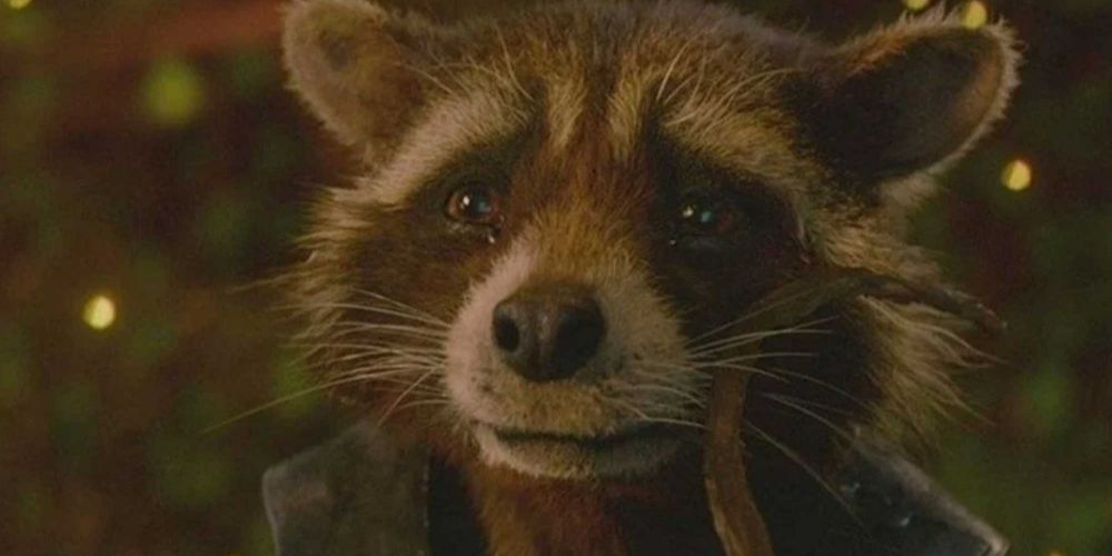 Rocket Raccoon cries at Yondu's funeral.