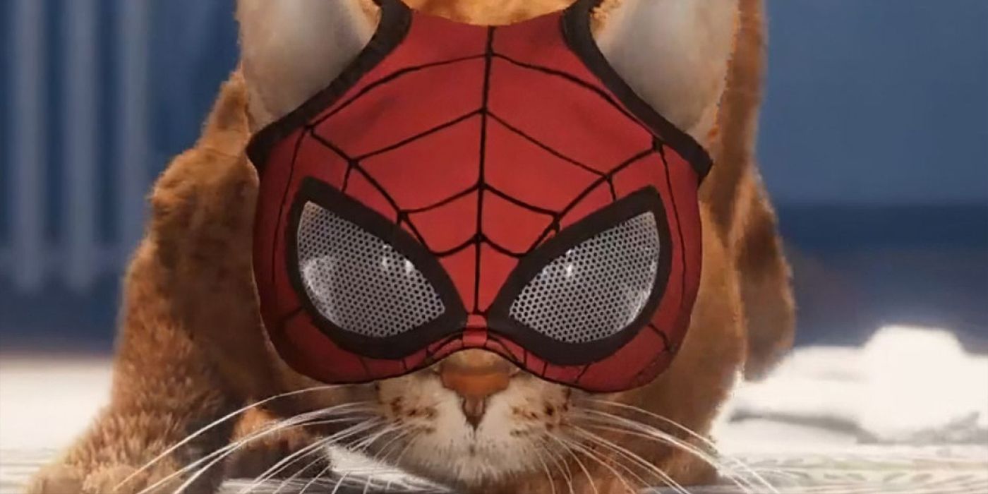 Spiderman Miles Morales with Spider-cat