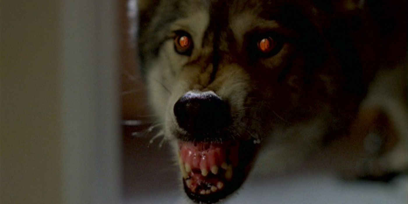The XFiles Episodes You Can Skip