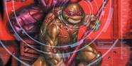 TMNT One Of The Ninja Turtles Is Learning How To Change History 