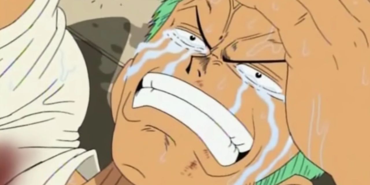 Zoro swears to never lose again in One Piece