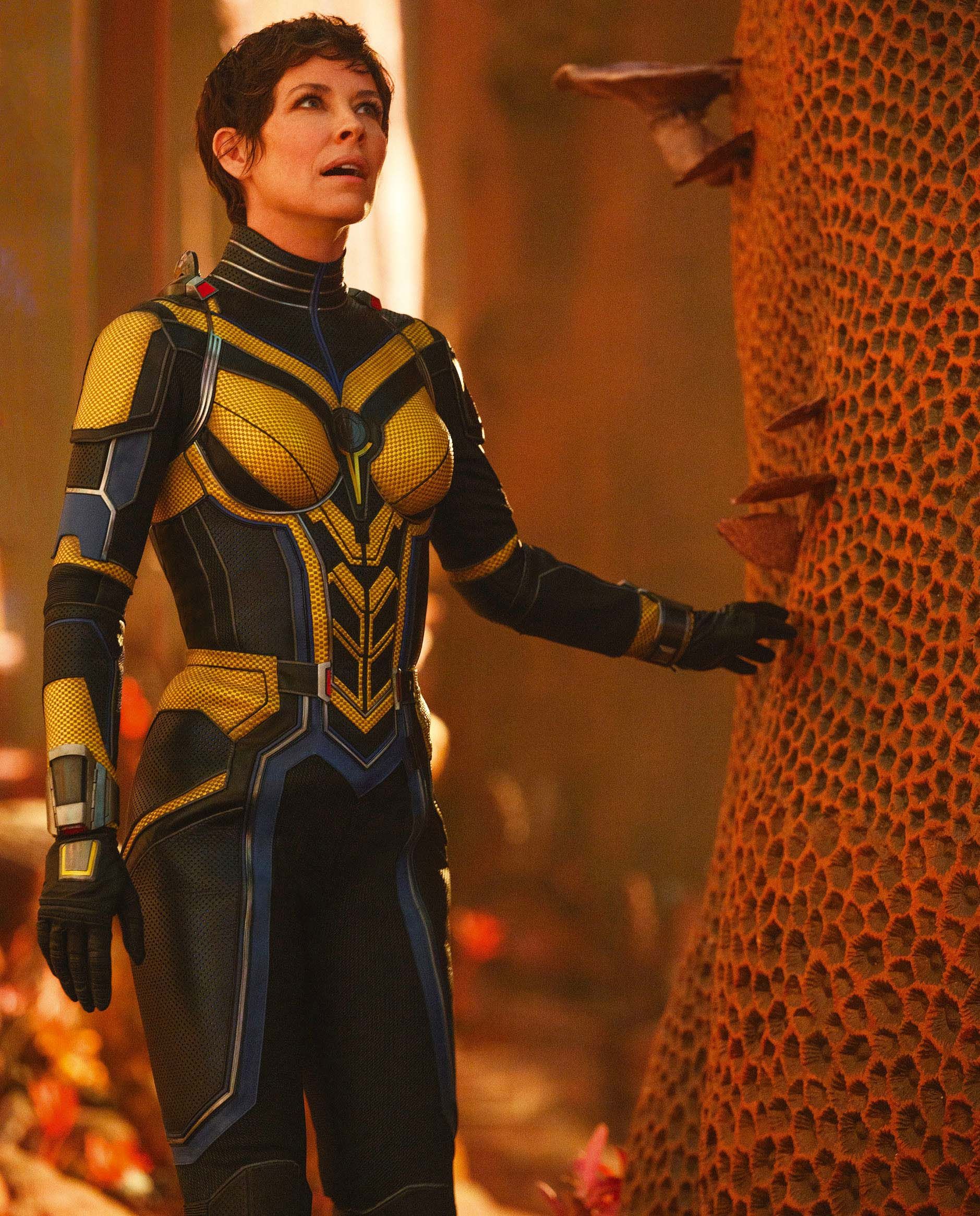 Evangeline Lilly is portraying the role of The Wasp in Ant-Man and The Wasp Quantumania.