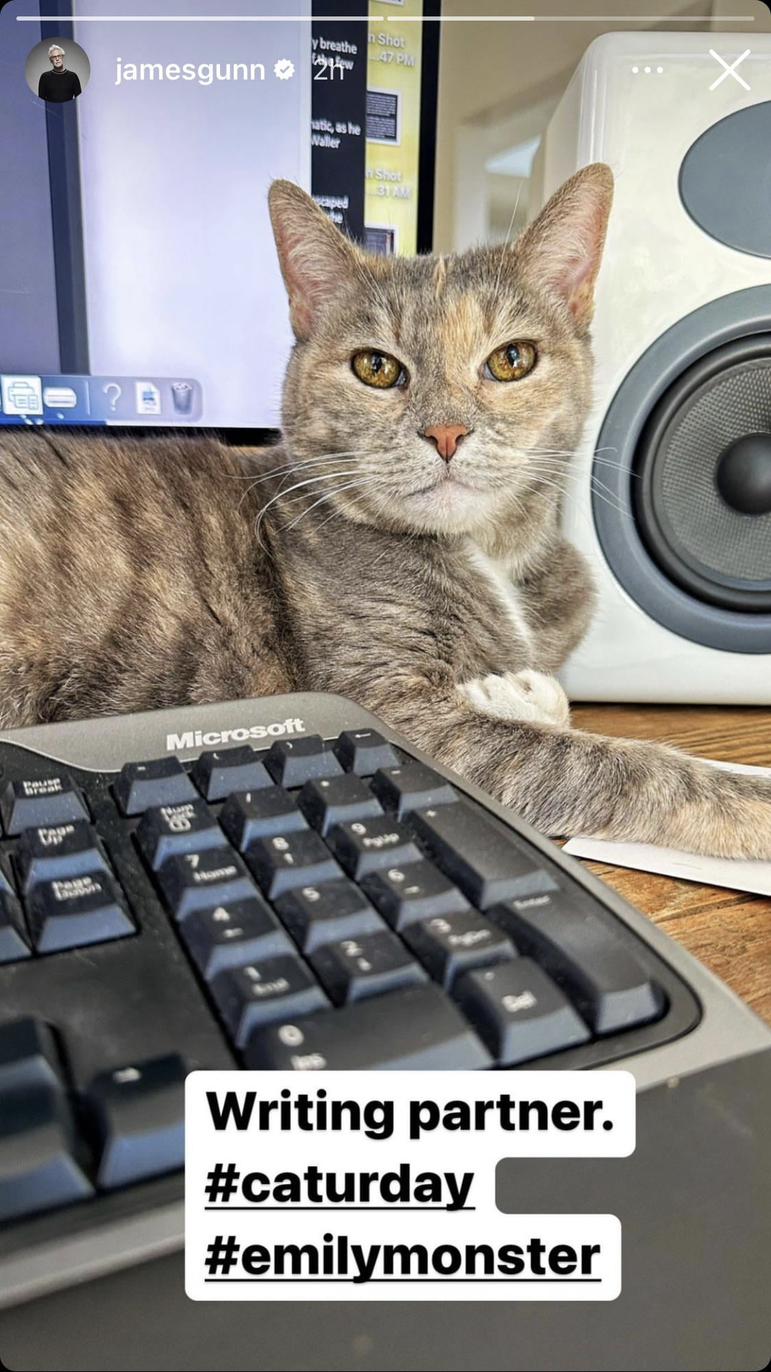 A gata Emily de James Gunn