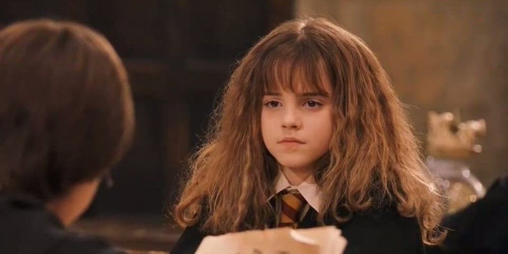 Harry Potter: 15 Things Hermione Granger Did After Deathly Hallows