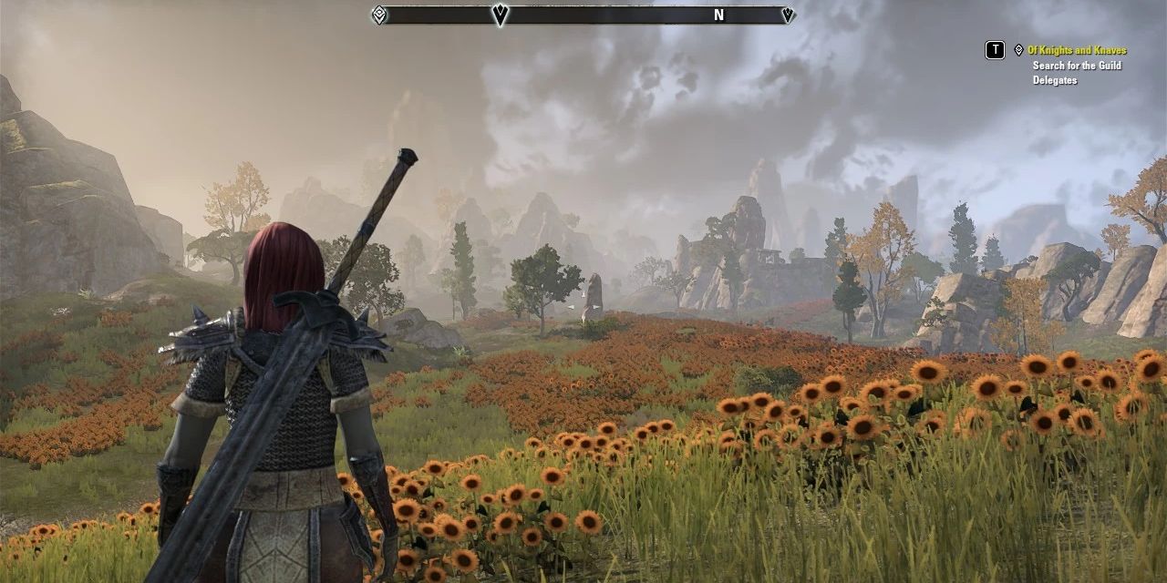 A Player walking in a sunflower-filed field in the High Isle expansion for The Elder Scrolls Online