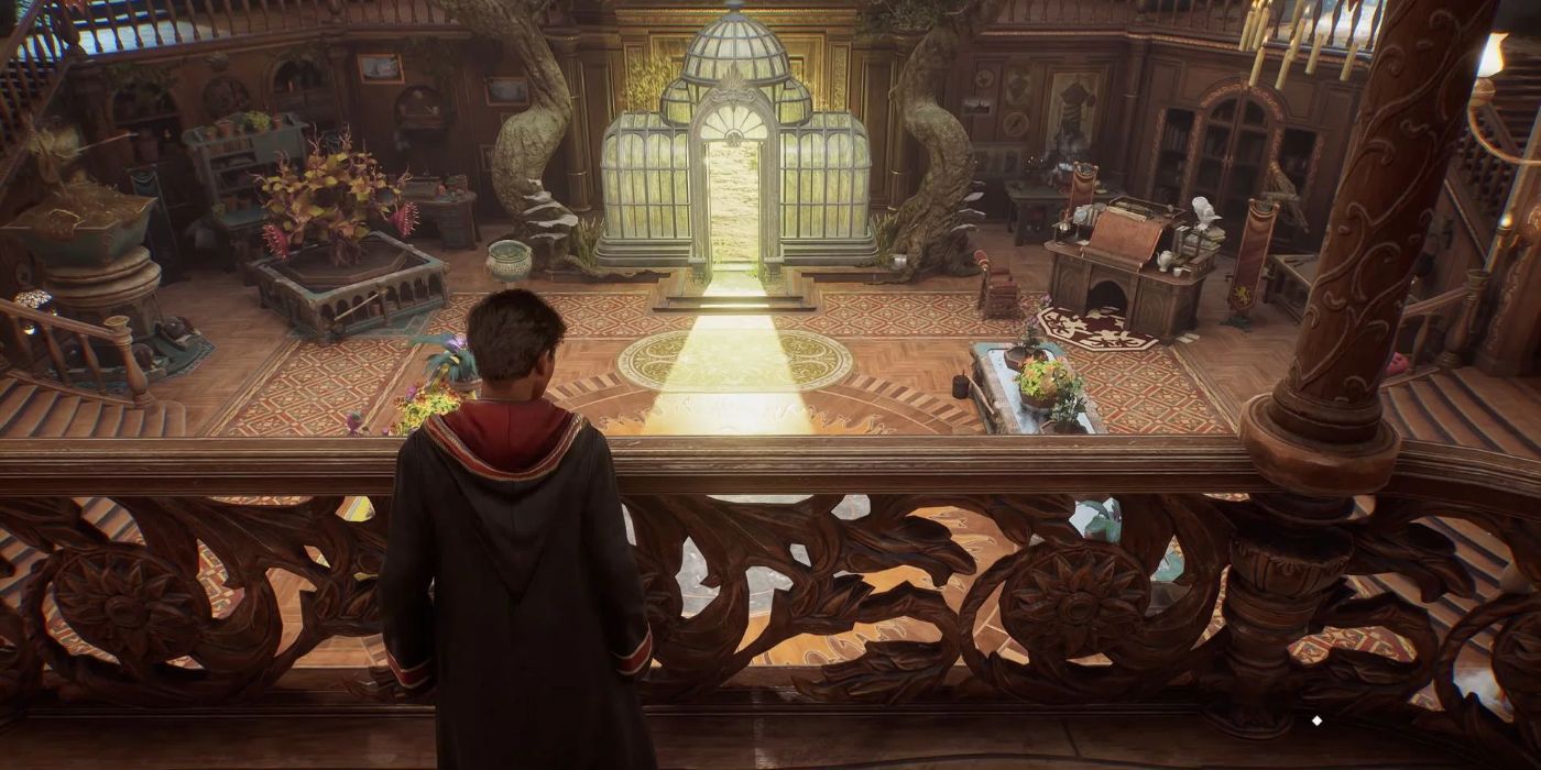 The player looking on at the Room of Requirement in Hogwarts Legacy
