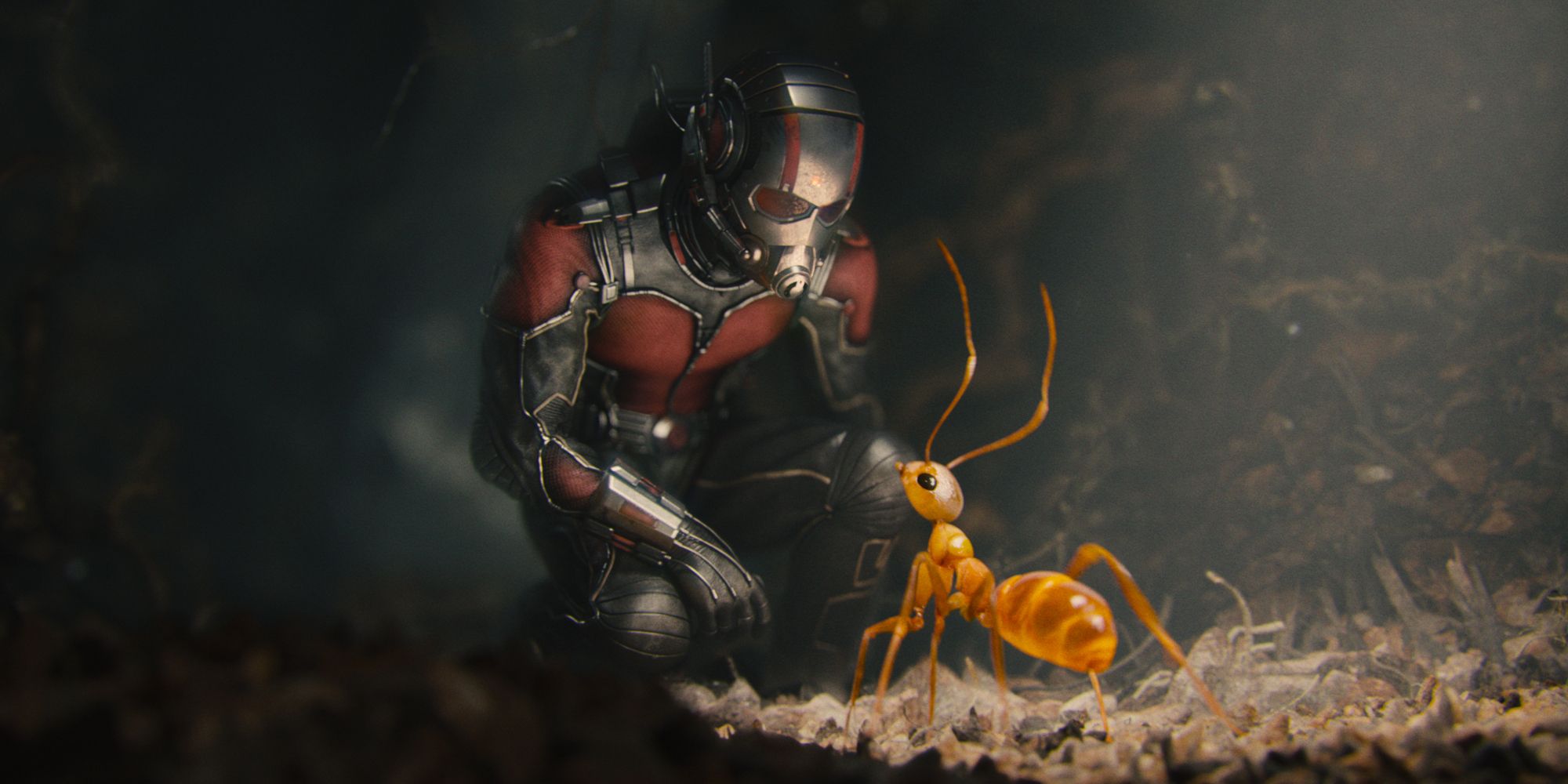 Scott Lang meeting one of the crazy ants in Ant-Man (2015)