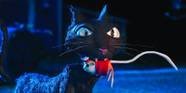 10 Movies Where The Cat Steals The Show 10 Movies Where The Cat Steals The Show
