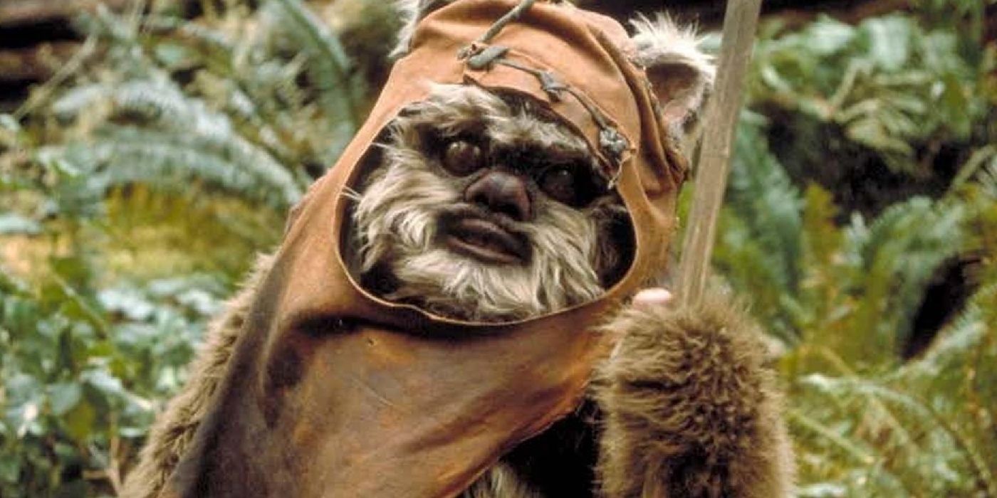 wicket o ewok (2)