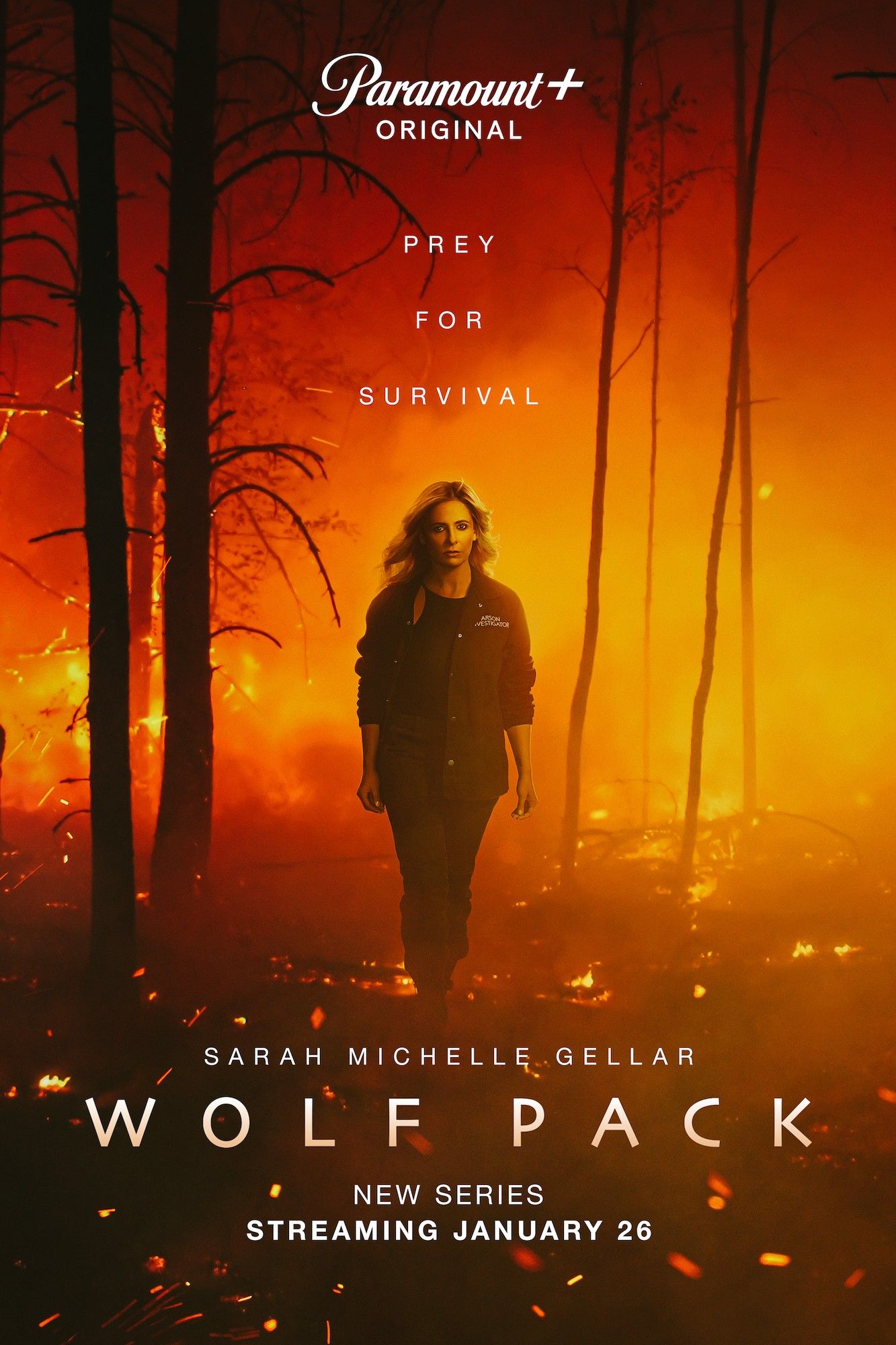 Wolf Pack TV Poster