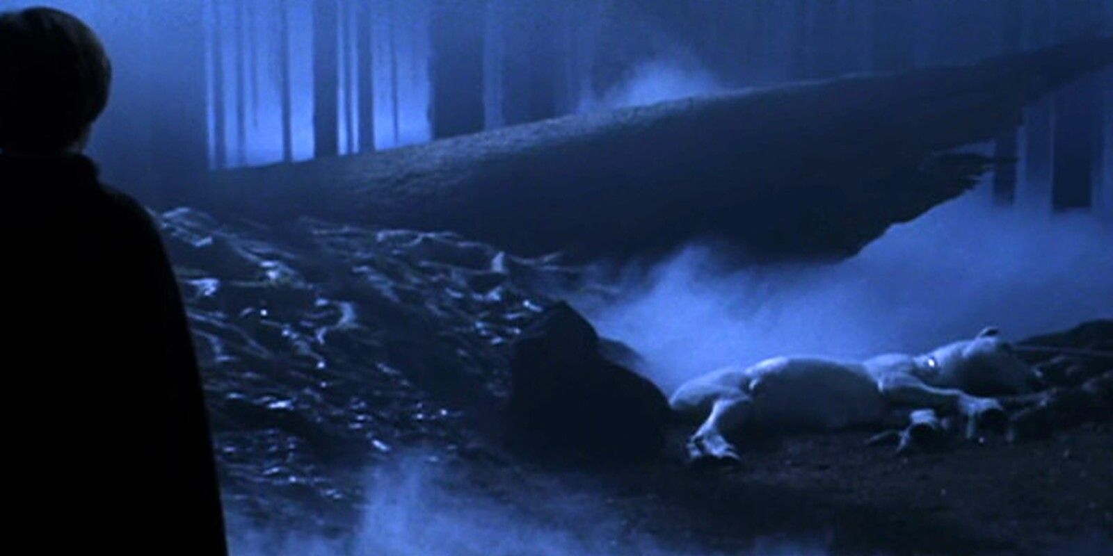 Harry looks at the dead unicorn in Philosopher's Stone