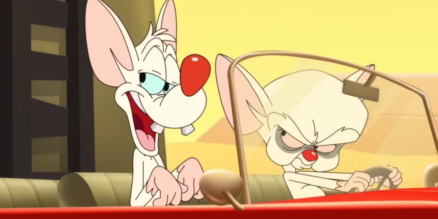 Animaniacs Pinky and the Brain 2020 1