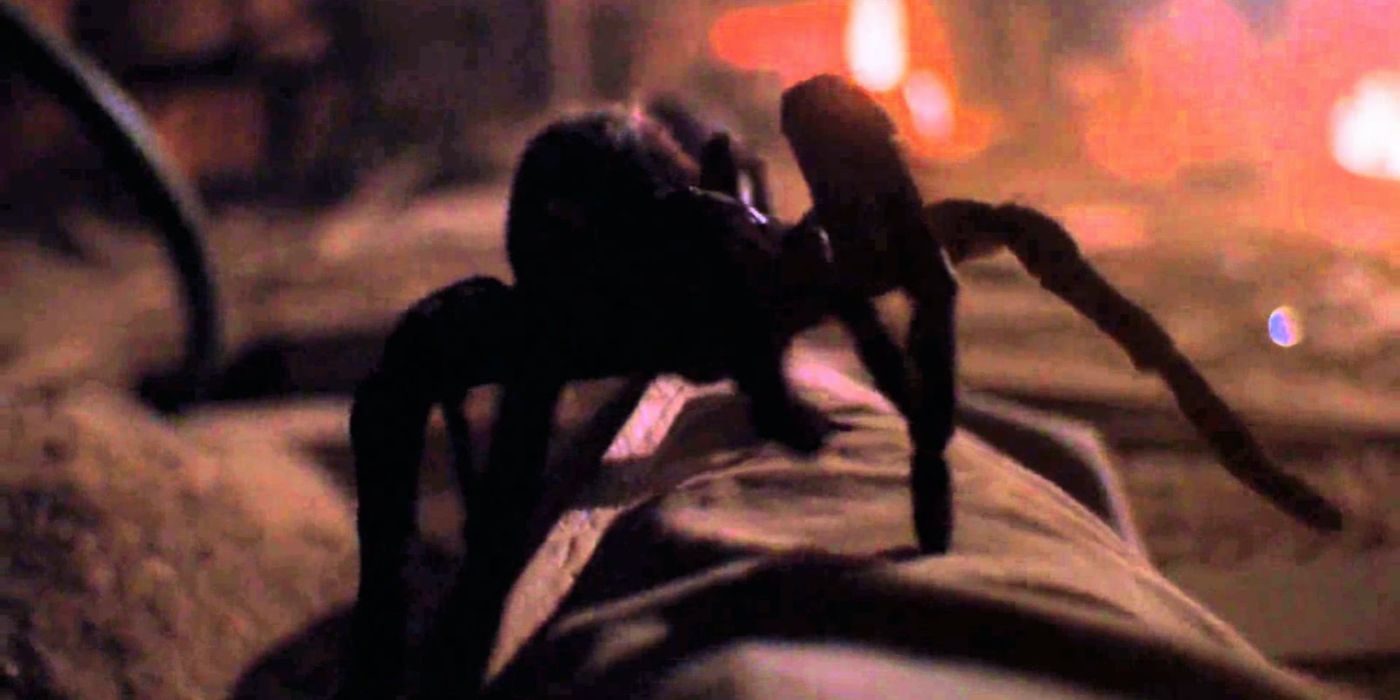 Arachnophobia Star Addresses Classic Horror Film and Upcoming Remake