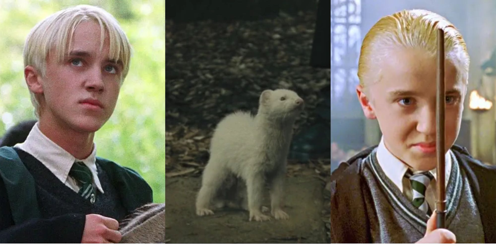 Draco ! : r/HarryPotterMemes