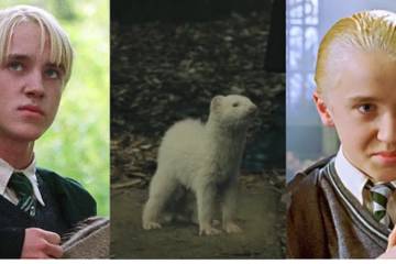 Split image of Draco Malfoy in uniform holding textbook, Draco Mafloy as a white ferret, and Draco in uniform holding wand up to his face