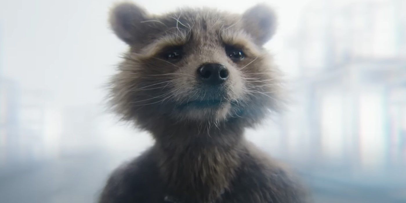 Rocket Raccoon in a white void in Guardians of the Galaxy Vol. 3.