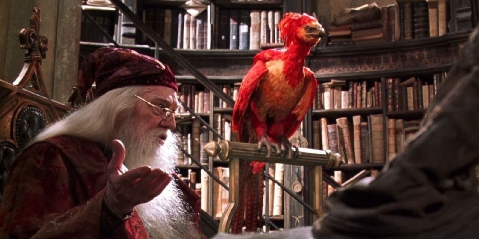 Fawkes the Phoenix sits on his perch while Dumbledore talks
