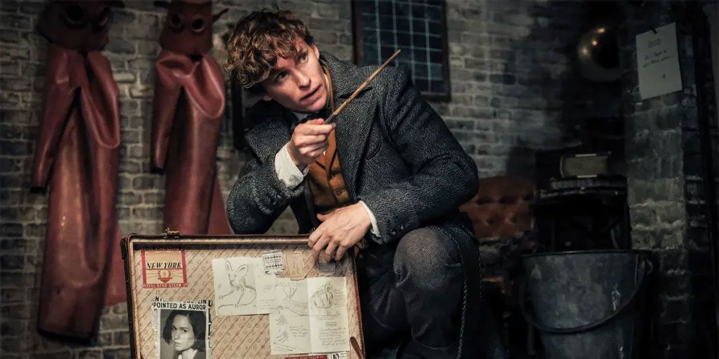 Newt Scamander attempts to put a creature in a case using his wand