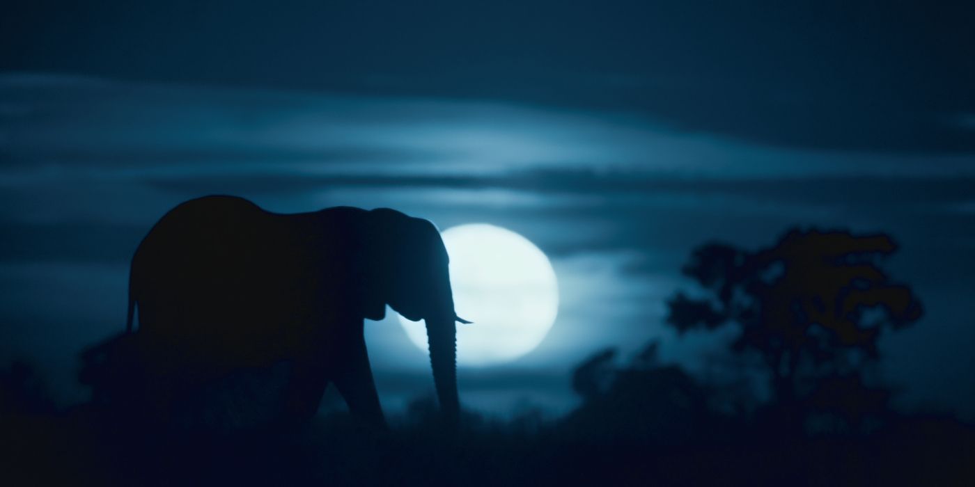 An elephant walking in the moonlight in Netflix's Night On Earth.