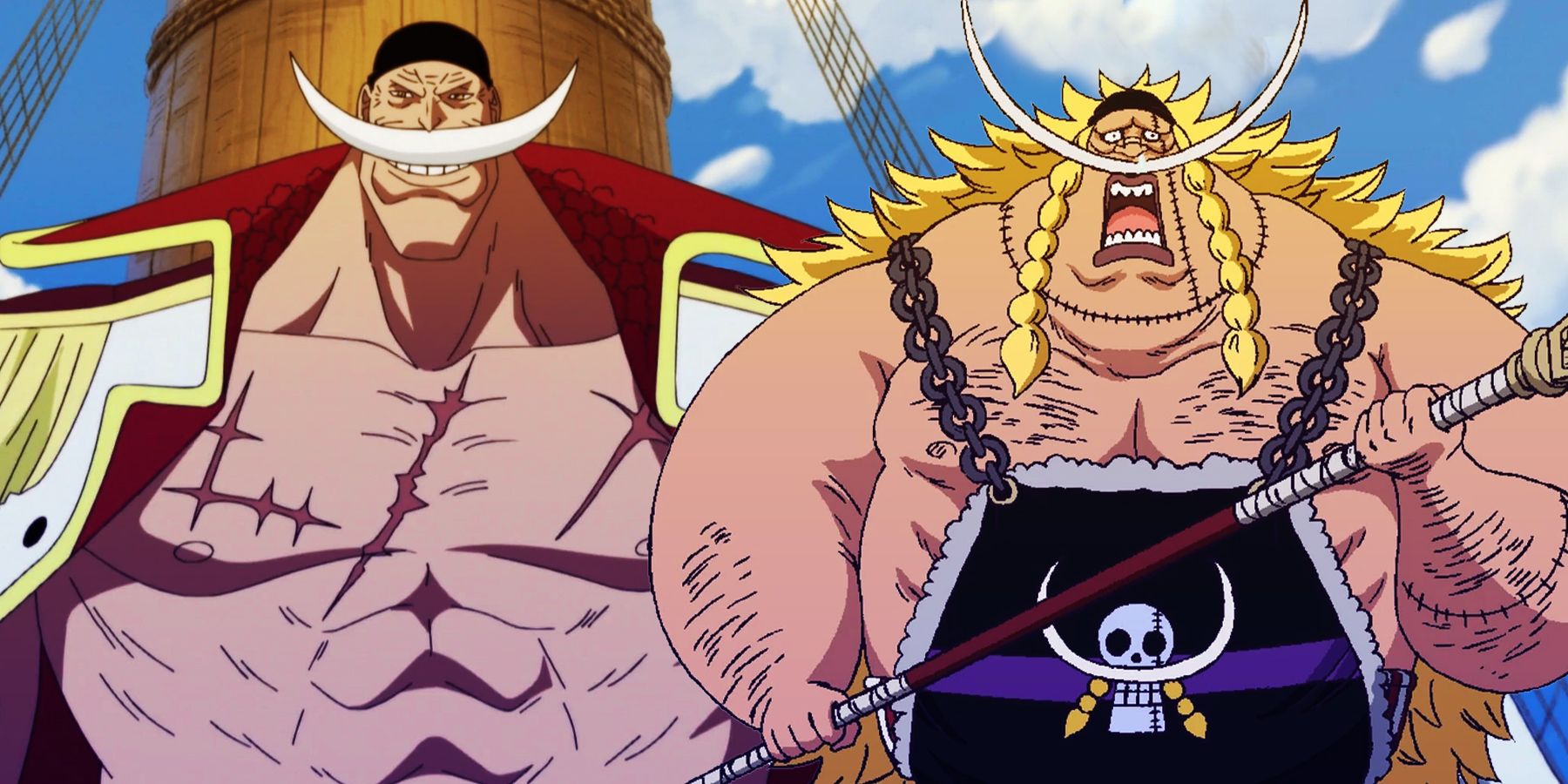 One Piece Theory Edward Weevil Is Whitebeard's Clone