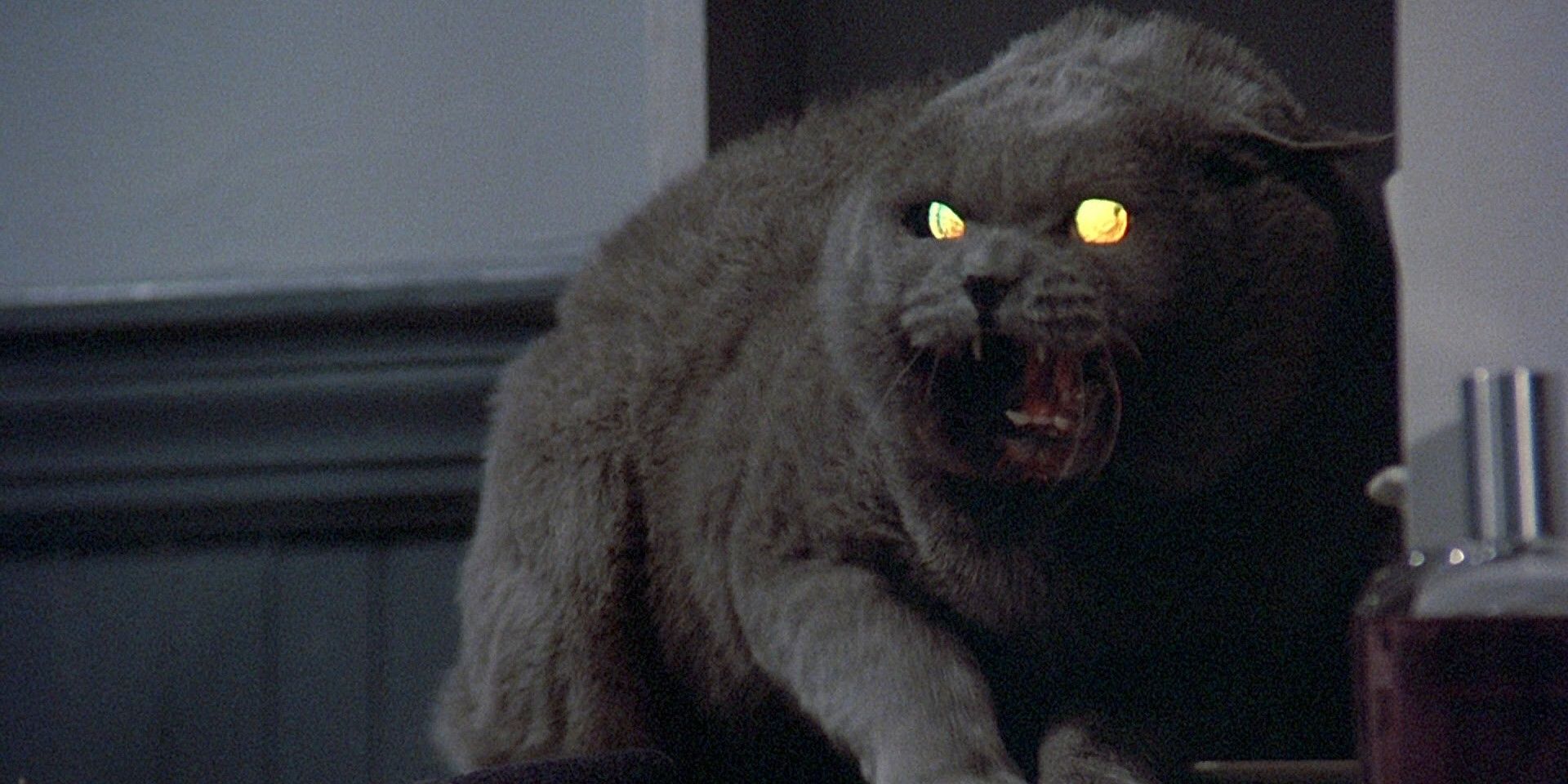 Why is Pet Sematary Misspelled? Stephen King's Iconic Title, Explained