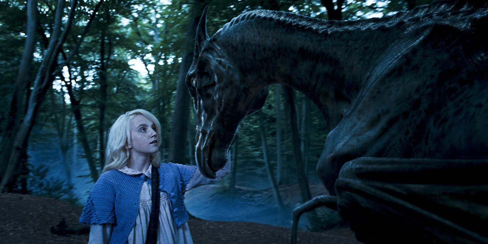 Luna Lovegood pets a Thestral in Harry Potter and the Order of the Phoenix.