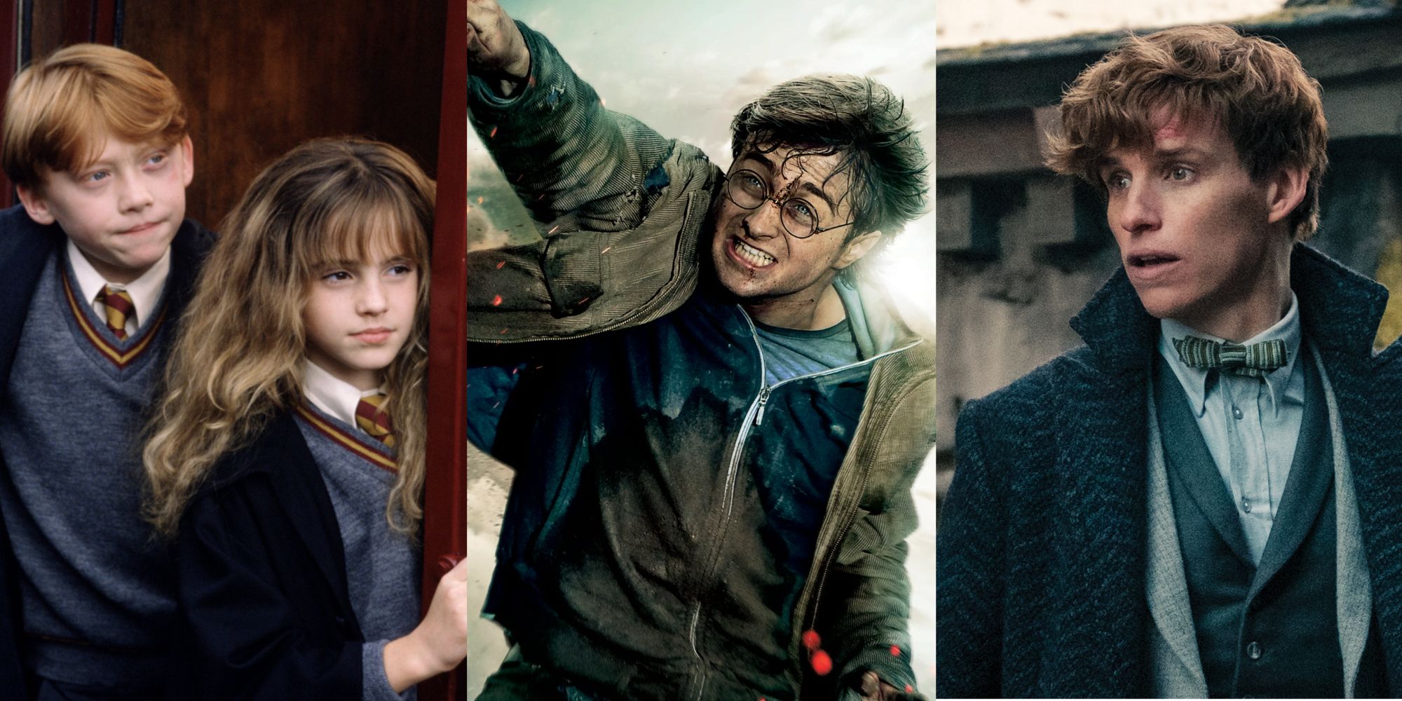 A split image of Ron and Hermione in Philosopher's Stone, Harry Potter in Deathly Hallows, and Newt Scamander in Fantastic Beasts