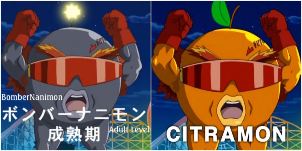 BomberNanimon and Citramon in Digimon Data Squad