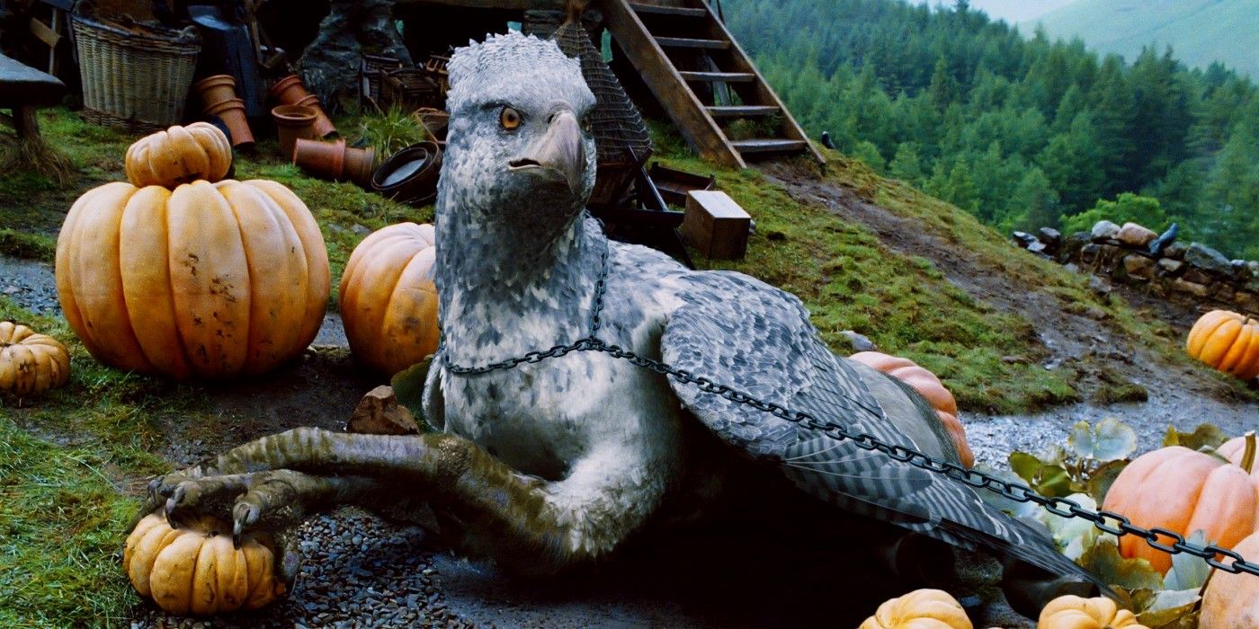 Buckbeak lying down on the pumpkin patch outside Hagrid's hut in Harry Potter