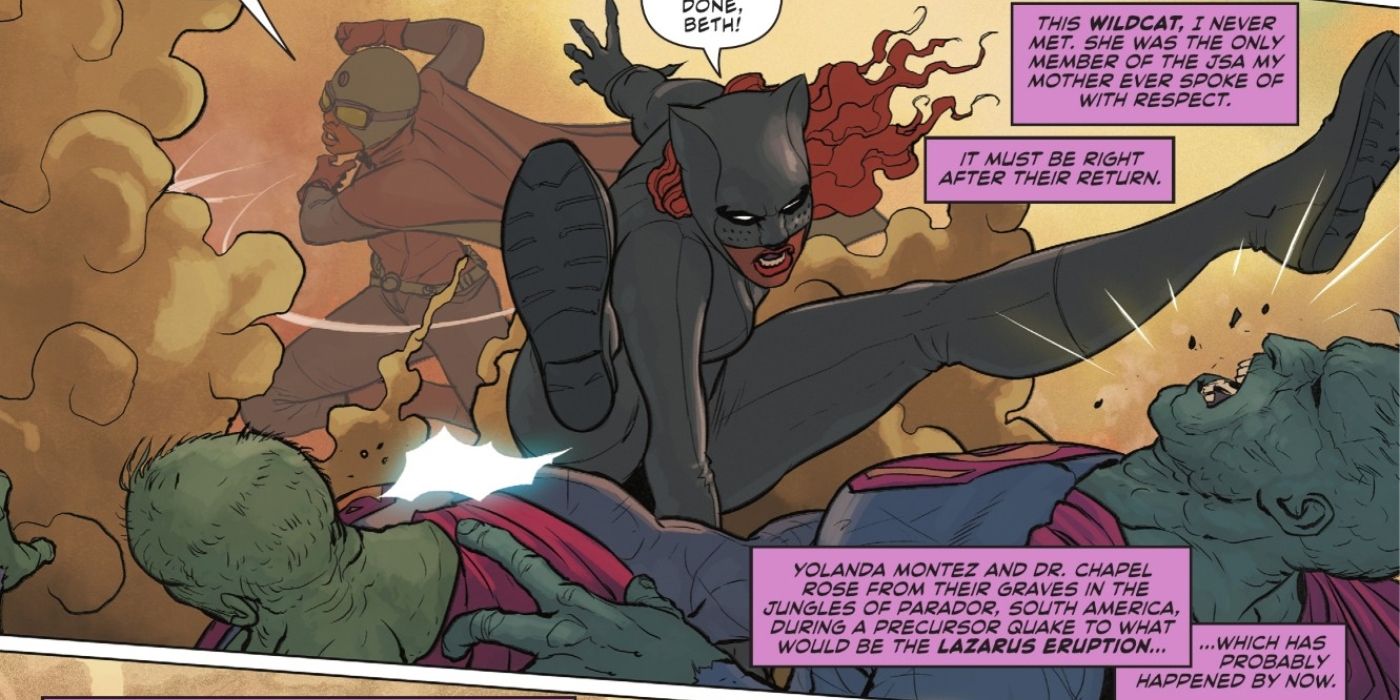 Catwoman respeita Wildcat