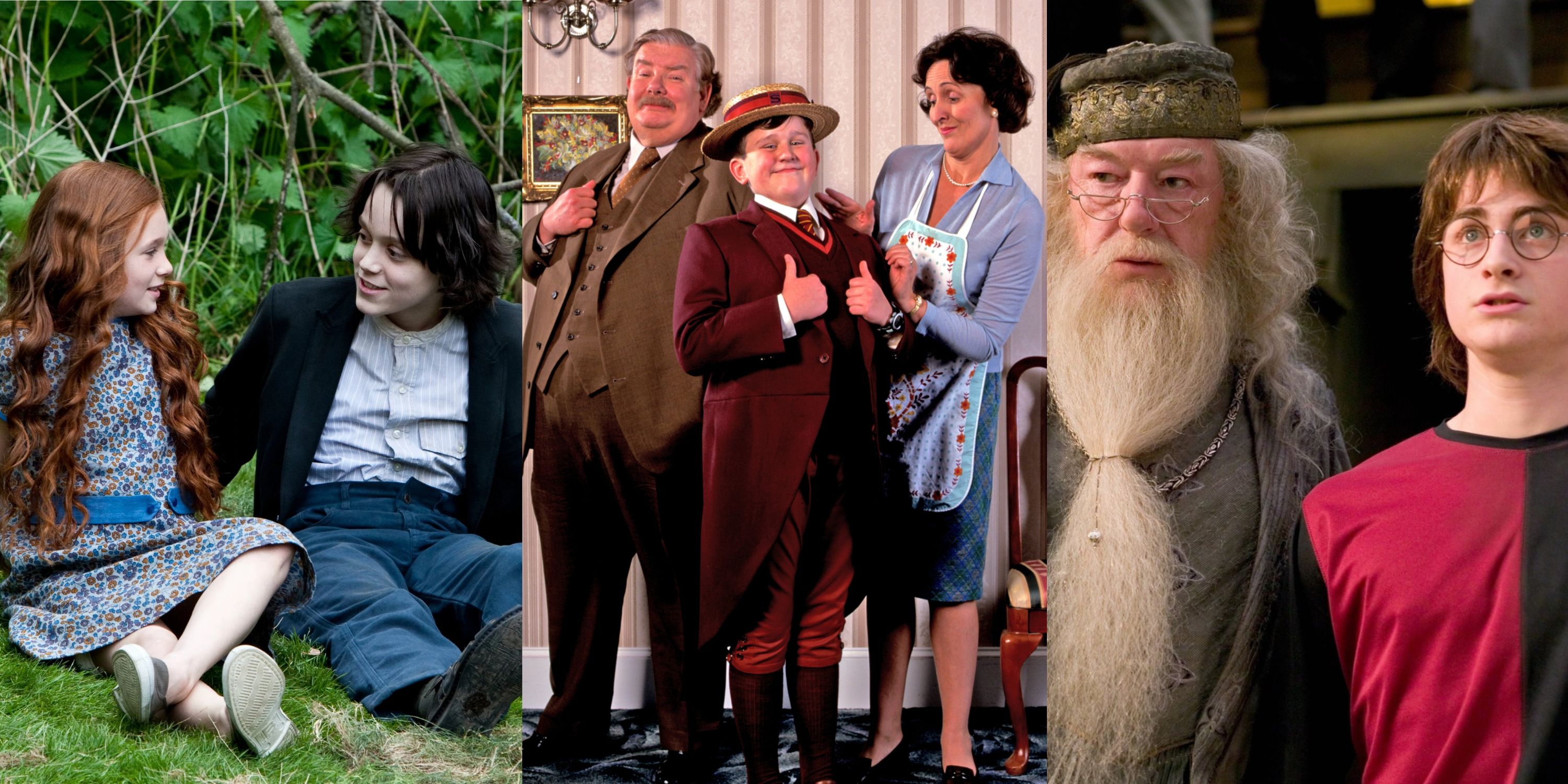 Split image of young Lily and Harry looking at each other and smiling, the Dursleys smiling and dressed in their best, and Dumbledore standing next to a scared Harry