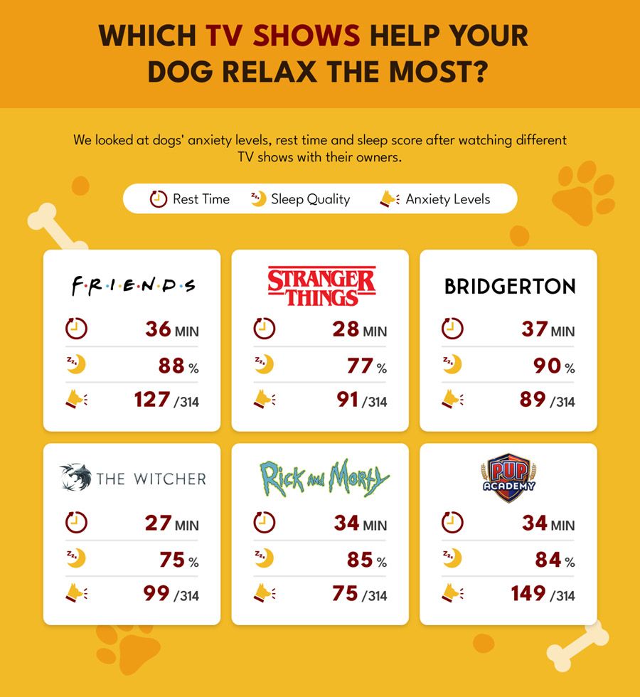 Research showing dogs find Bridgerton relaxing.
