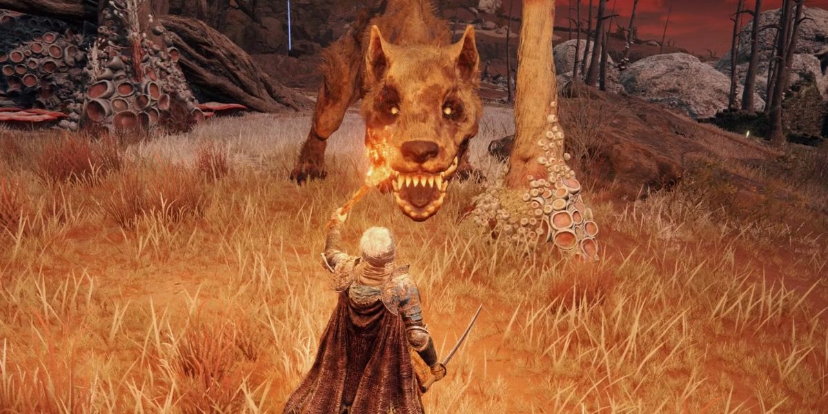 10 Best Elden Ring Weapons, Ranked