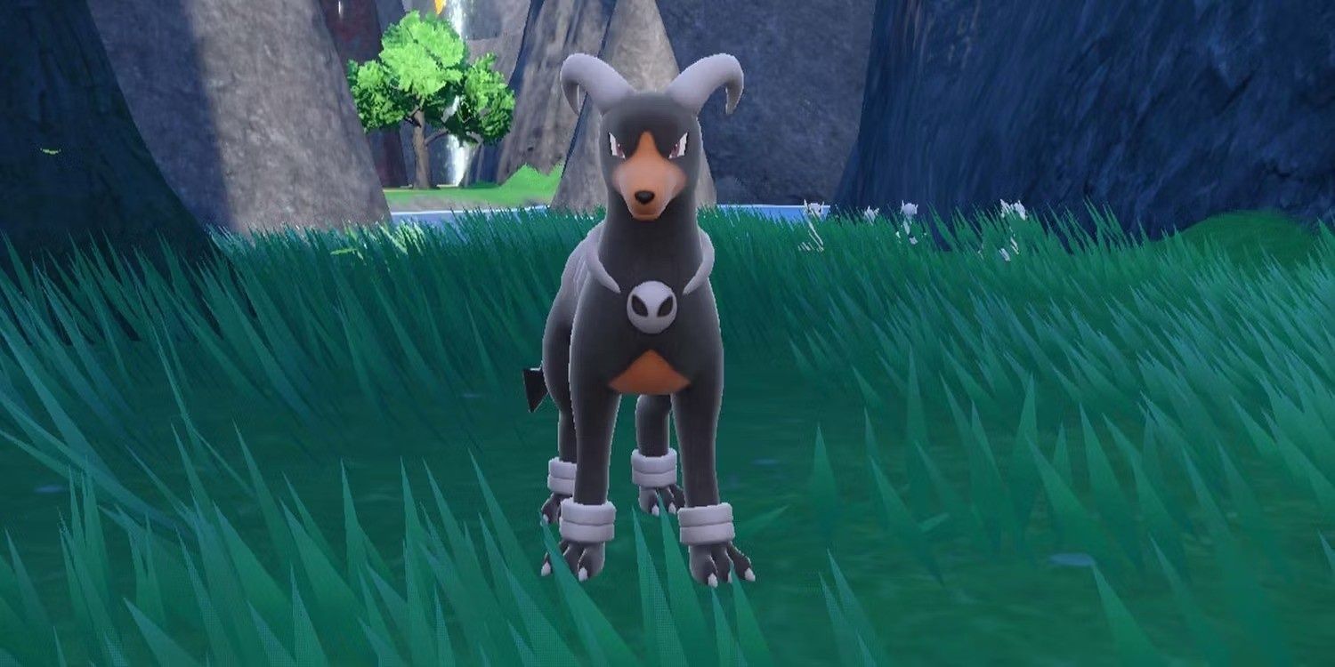 Houndoom na natureza em Pokemon Scarlet e Violet.