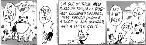 MUTTS: 10 Most Beloved Earl And Mooch Comic Strips