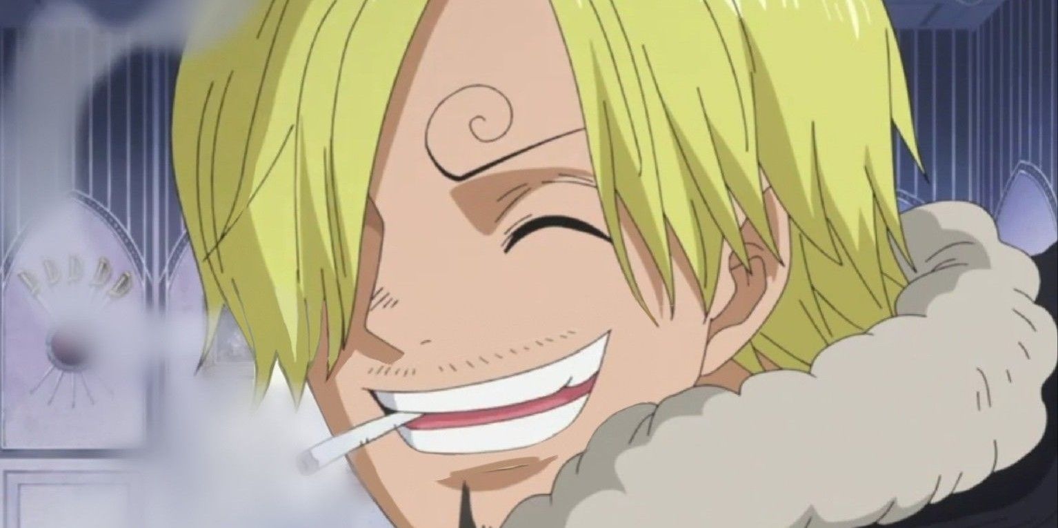 Sanji Smiles in the One Piece Anime Zou Arc