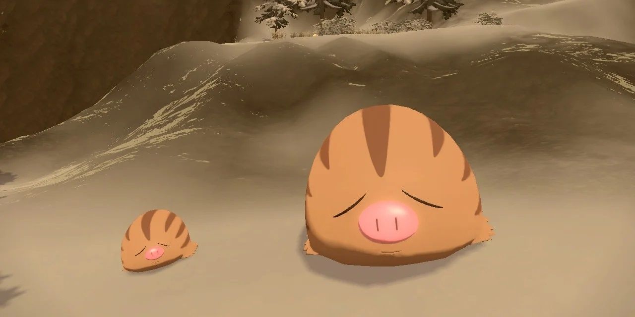 A screenshot of Swinub in Pokemon.