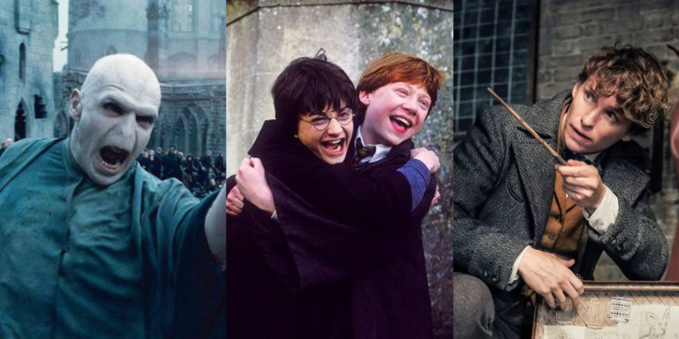 A split image of Voldemort, Harry Potter, and Ron Weasley, and Newt Scamander from the Wizarding World movies