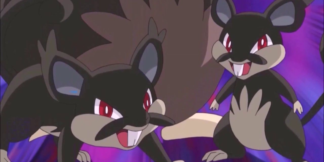 Two Alolan Rattata in the Pokemon anime