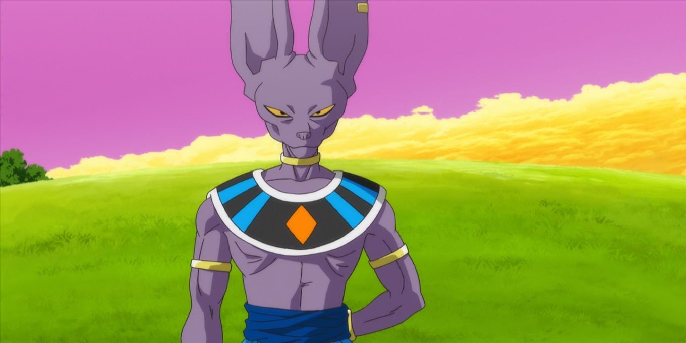 Beerus from Dragon Ball Z Battle of Gods