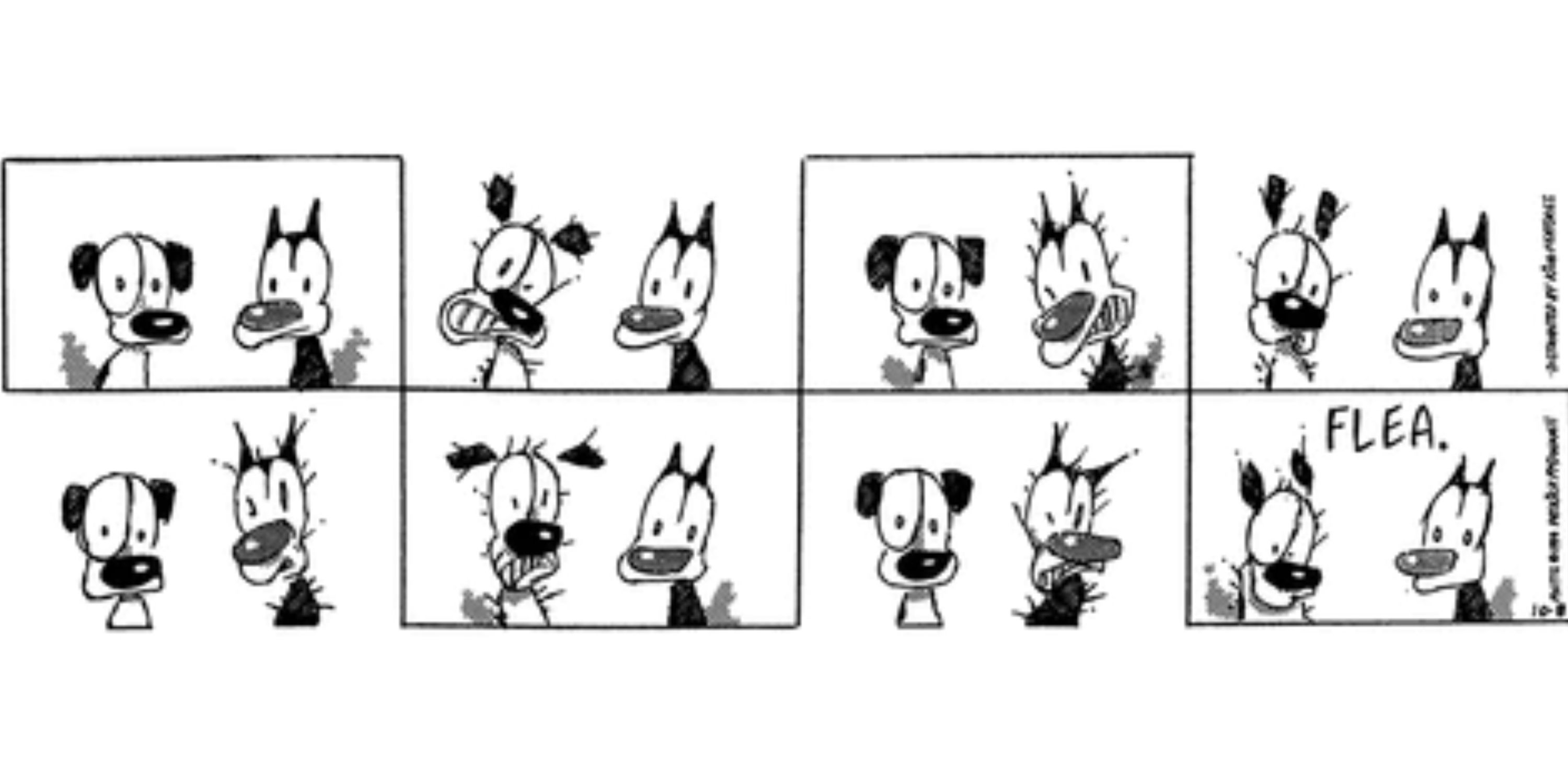 10 Things MUTTS Does Better Than Any Other Strip